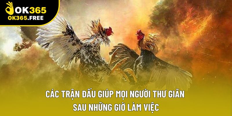 Các trận đấu giúp mọi người thư giãn sau những giờ làm việc Các trận đấu giúp mọi người thư giãn sau những giờ làm việc
