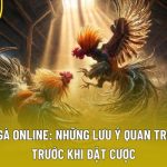 Đá Gà Online: Những Lưu Ý Quan Trọng Trước Khi Đặt Cược