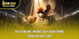 Đá Gà Online: Những Lưu Ý Quan Trọng Trước Khi Đặt Cược