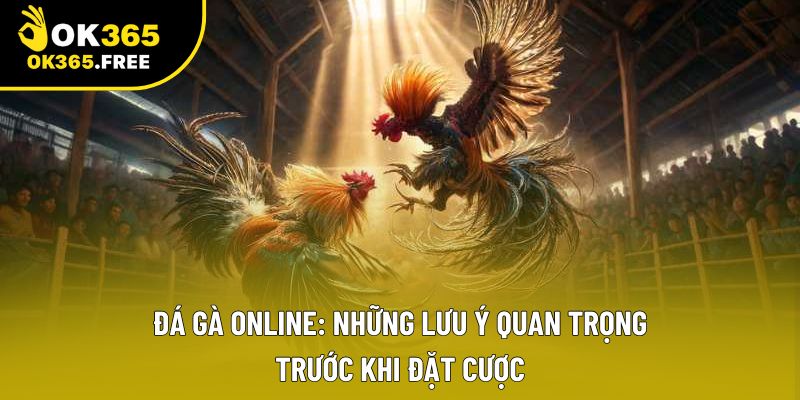 Đá Gà Online: Những Lưu Ý Quan Trọng Trước Khi Đặt Cược