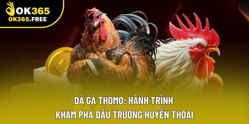 Đá Gà Thomo: Hành Trình Khám Phá Đấu Trường Huyền Thoại