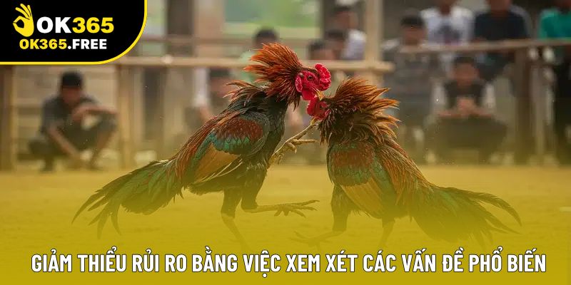 Giảm thiểu rủi ro bằng việc xem xét các vấn đề phổ biến