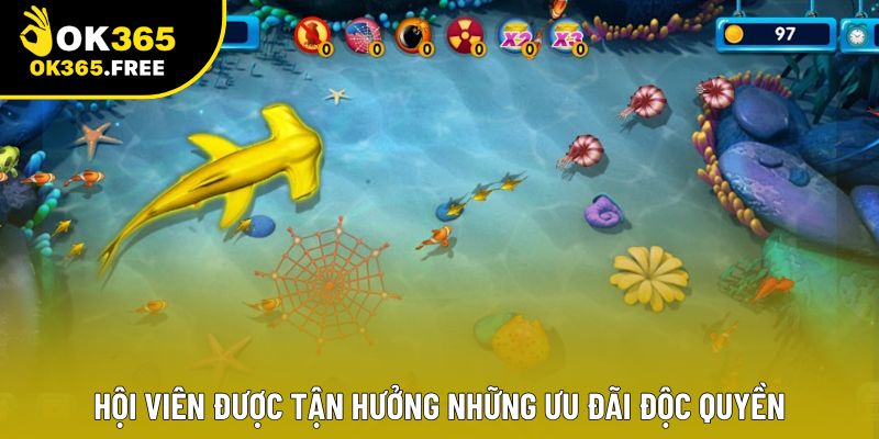 “Hội viên được tận hưởng những ưu đãi độc quyền “Hội viên được tận hưởng những ưu đãi độc quyền