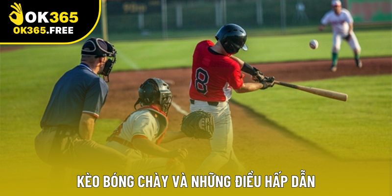 Kèo bóng chày và những điều hấp dẫn Kèo bóng chày và những điều hấp dẫn