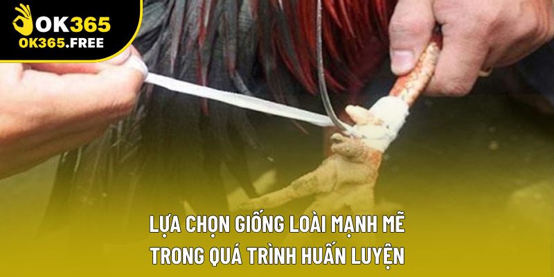 Lựa chọn giống loài mạnh mẽ trong quá trình huấn luyện