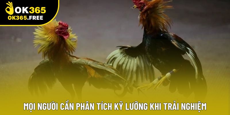 Mọi người cần phân tích kỹ lưỡng khi trải nghiệm Mọi người cần phân tích kỹ lưỡng khi trải nghiệm
