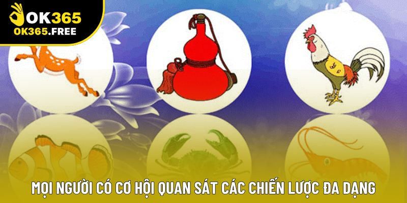 Mọi người có cơ hội quan sát các chiến lược đa dạng