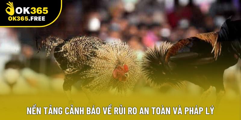 Nền tảng cảnh báo về rủi ro an toàn và pháp lý