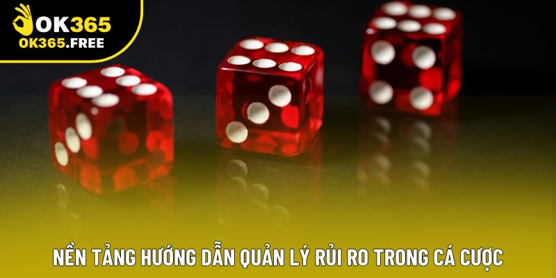 Nền tảng hướng dẫn quản lý rủi ro trong cá cược