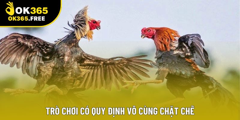 Trò chơi có quy định vô cùng chặt chẽ Trò chơi có quy định vô cùng chặt chẽ